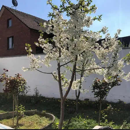 Guest house Kleve-kellen 3